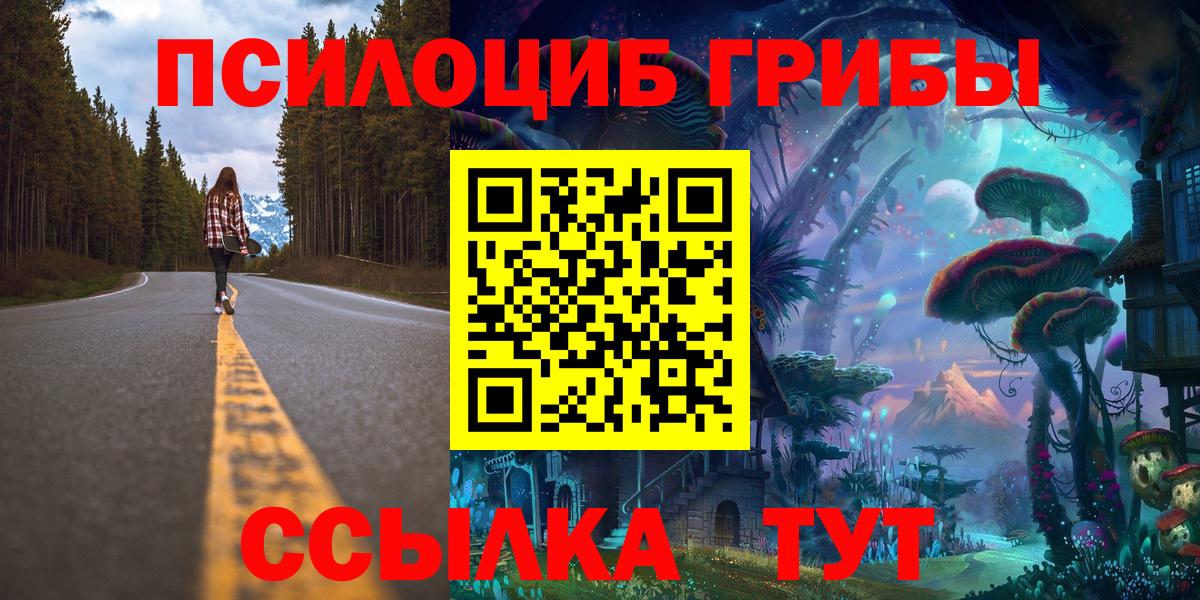 Галлюциногенные грибы Magic Shrooms  где продают наркотики  Вход с VPN  Бердск  Псилоцибиновые грибы мухоморы 