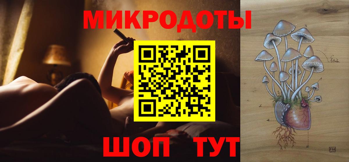 Псилоцибиновые грибы мицелий Бердск