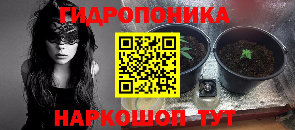 Бошки Шишки VHQ  Вход с VPN  Каннабис SATIVA & INDICA  Бердск  Шишки марихуана Bruce Banner 